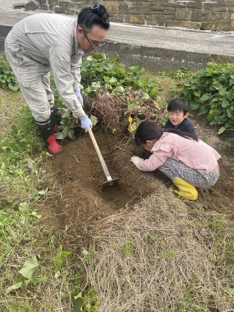 家庭菜園の作業風景