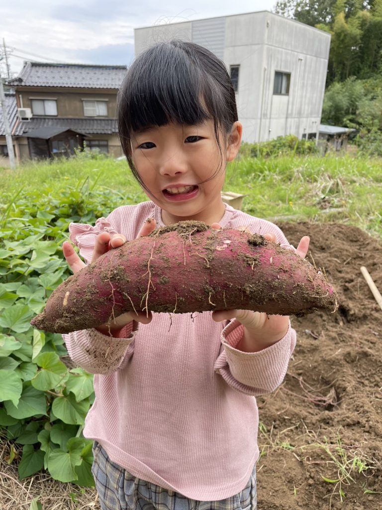 収穫したべにはるかを持っている子ども